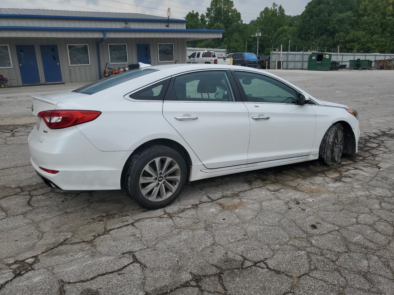 Hyundai sonata sport 5NPE34AF6HH532598