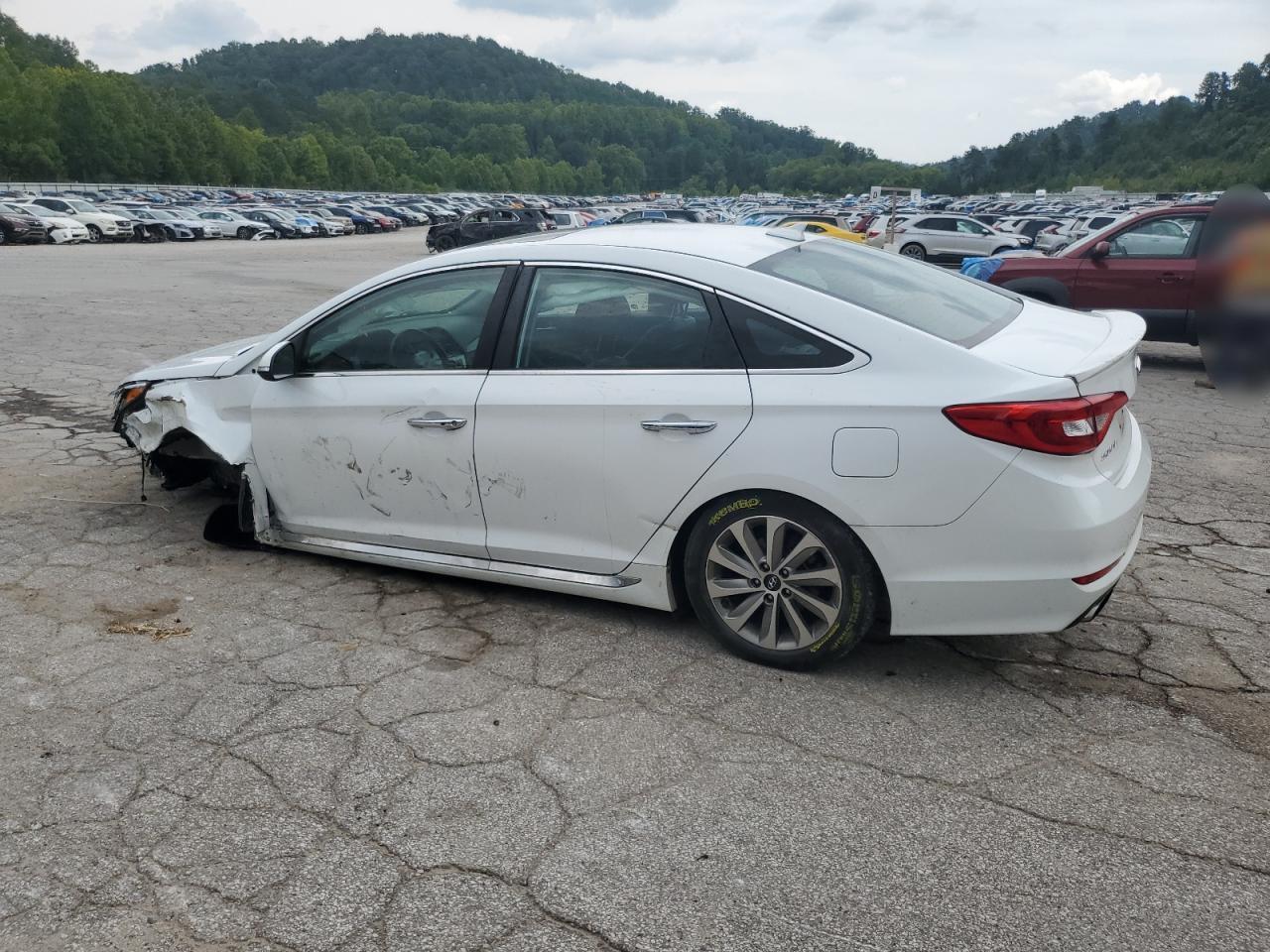 Hyundai sonata sport 5NPE34AF6HH532598