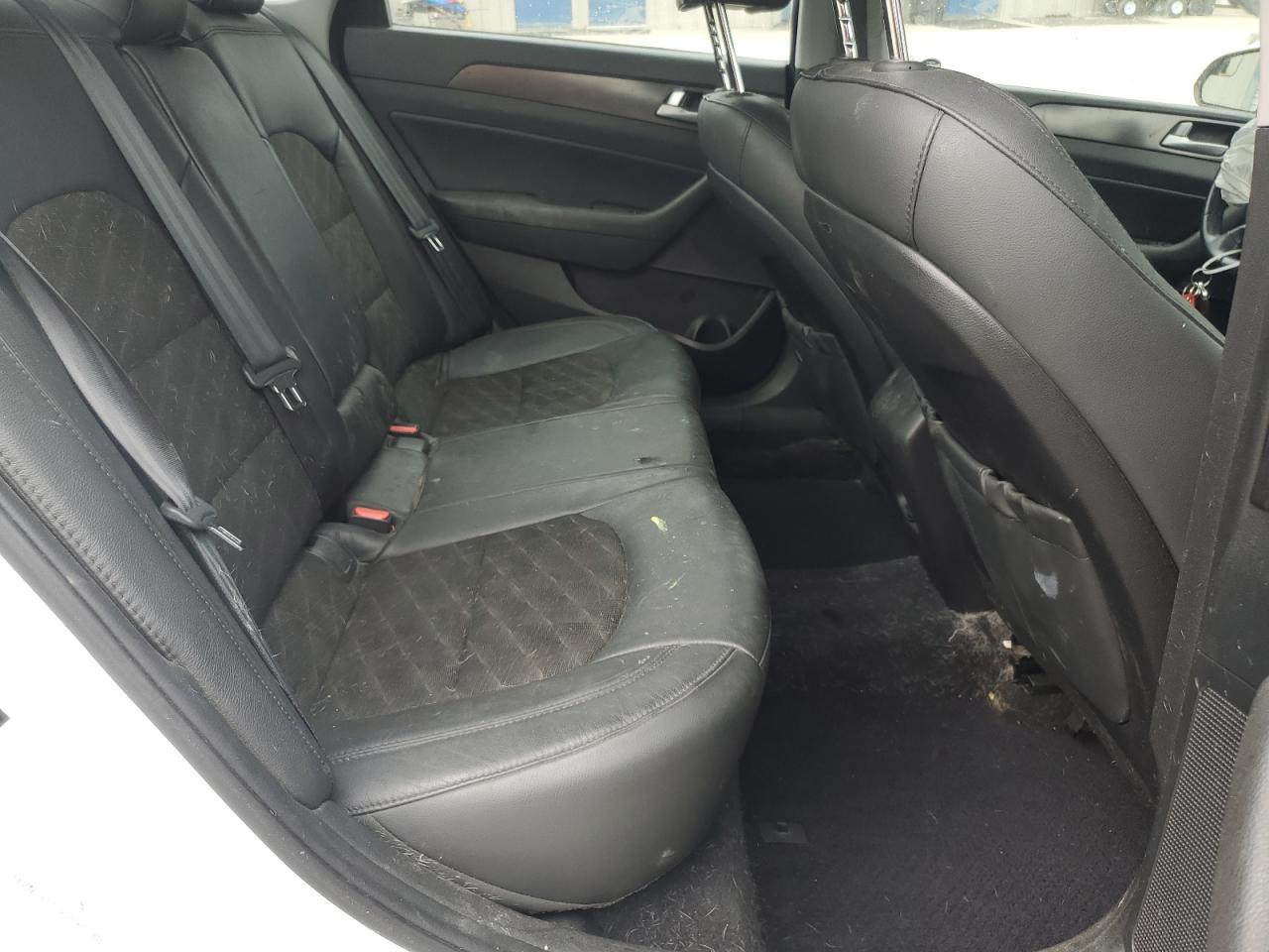 Hyundai sonata sport 5NPE34AF6HH532598